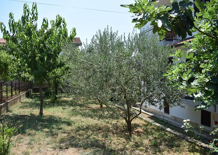 4299d Apartamento
