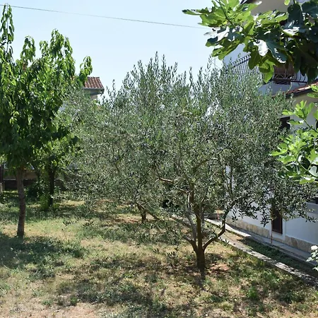 4299d Apartmán