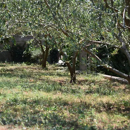 4299d Apartmán